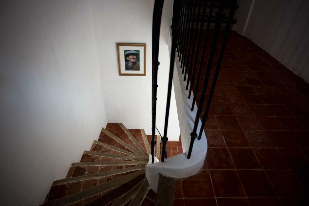 Maison D'Hotes Ventoureso Malemort-du-Comtat Esterno foto